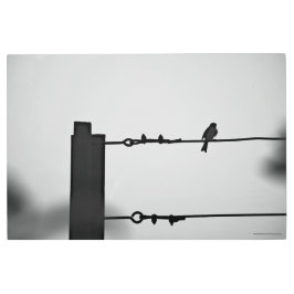 Impresión En Metal Pájaro en un cable