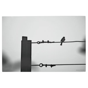 Impresión En Metal Pájaro en un cable