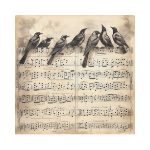 Impresión En Metal pájaros cantores sentados en una composición music