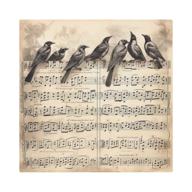 Impresión En Metal pájaros cantores sentados en una composición music (Anverso)