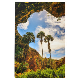 Impresión En Metal Palm Trees cavernales de Makauwahi, Kauai, Hawai