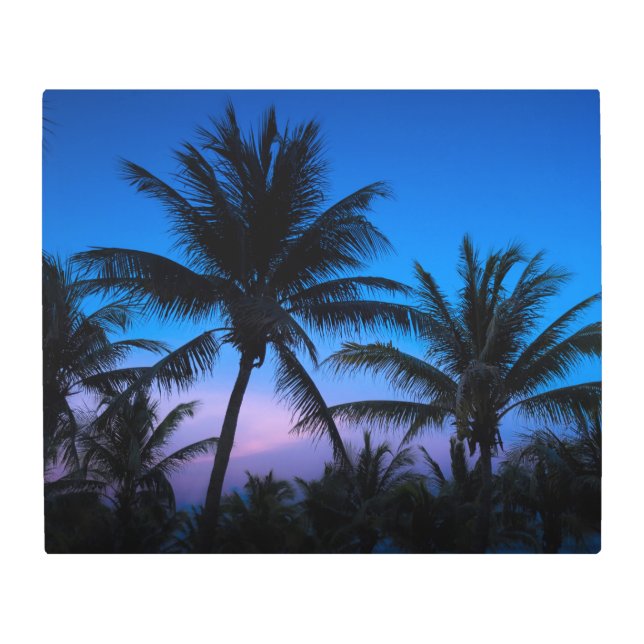 Impresión En Metal Palmeras de Medianoche (Anverso)