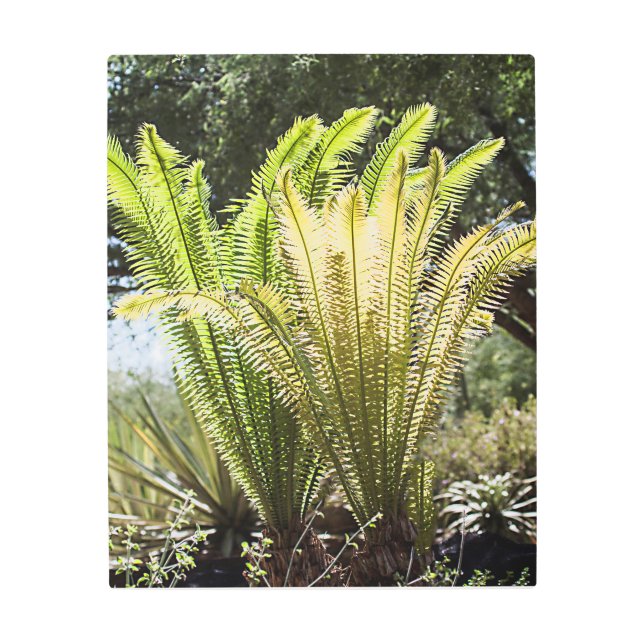 Impresión En Metal Palmeras iluminadas (Anverso)