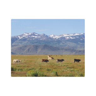 Impresión En Metal Panorama HWY 395 de California