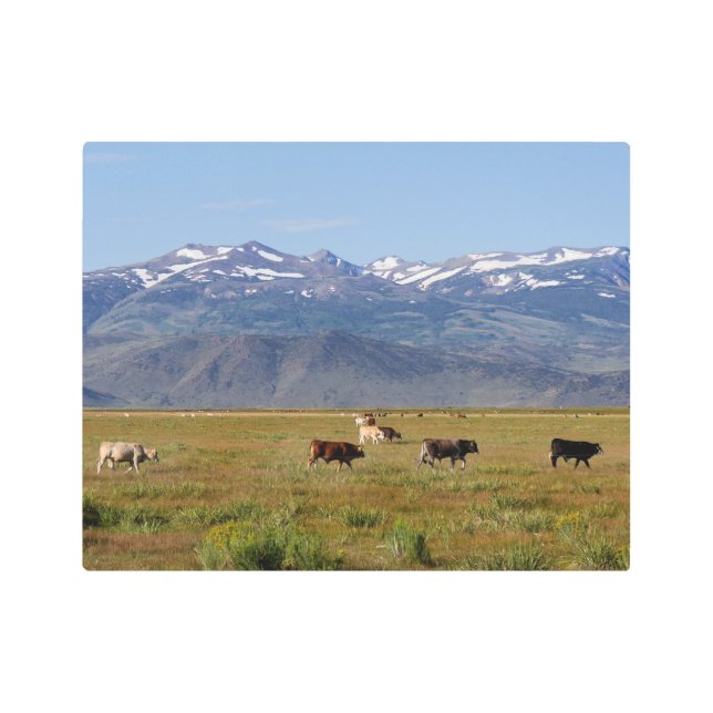 Impresión En Metal Panorama HWY 395 de California (Anverso)