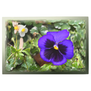 Impresión En Metal Pañuelo morado