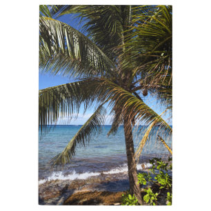 Impresión En Metal Paraíso tropical - Árbol de palmas