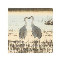 Pareja Sandhill Crane Sunrise
