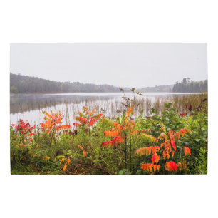 Impresión En Metal Parque estatal Itasca Minnesota