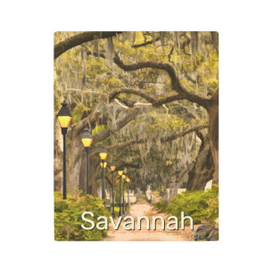 Impresión En Metal Parque Forsyth Vintage - Savannah, GA