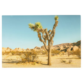 Impresión En Metal Parque nacional de Joshua