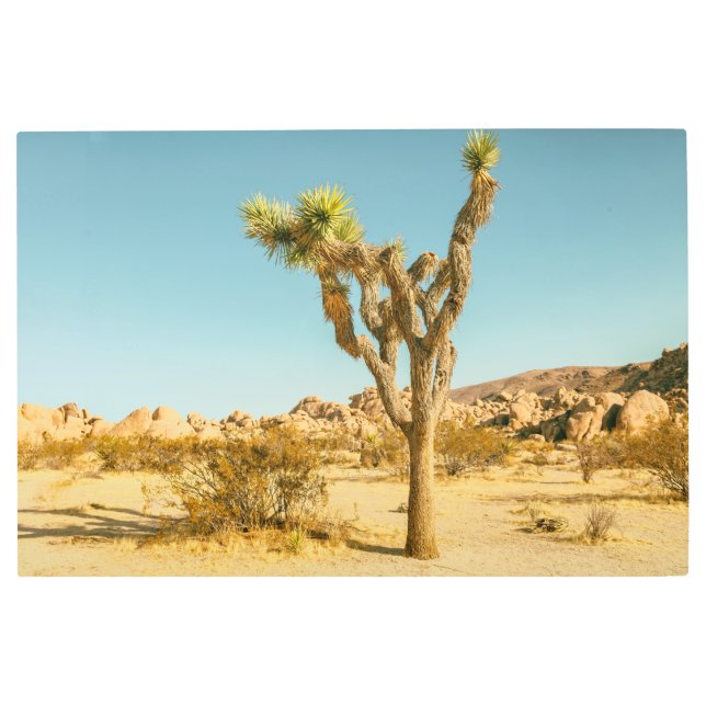 Impresión En Metal Parque nacional de Joshua (Anverso)