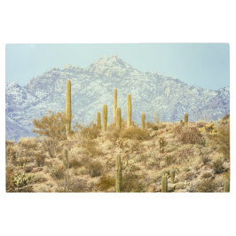 Impresión En Metal Parque nacional de Saguaro