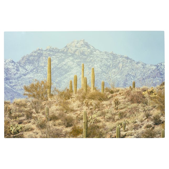 Impresión En Metal Parque nacional de Saguaro (Anverso)