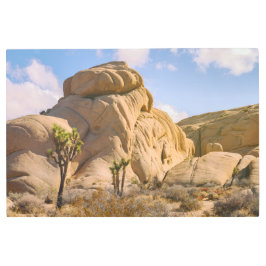Impresión En Metal Parque nacional Joshua Trees