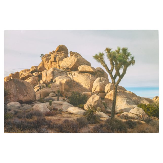 Impresión En Metal Parque nacional Joshua Trees (Anverso)