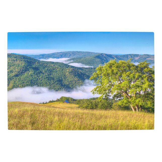 Impresión En Metal Parque Nacional Redwood, California (Anverso)