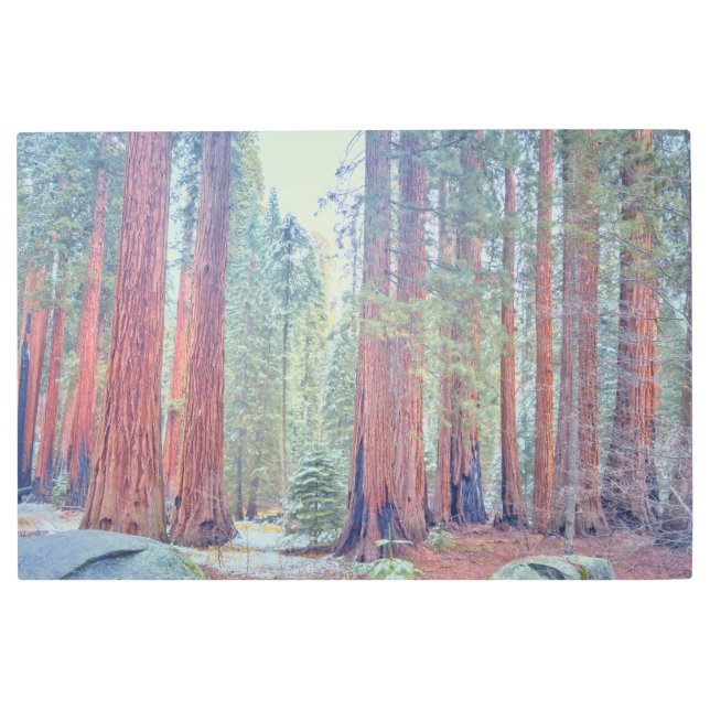 Impresión En Metal Parque nacional Sequoia (Anverso)