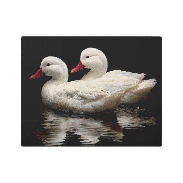 Impresión En Metal Patos (Anverso)