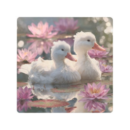 Impresión En Metal Patos