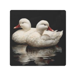 Impresión En Metal Patos