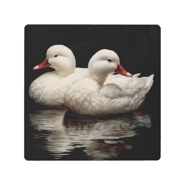 Impresión En Metal Patos (Anverso)