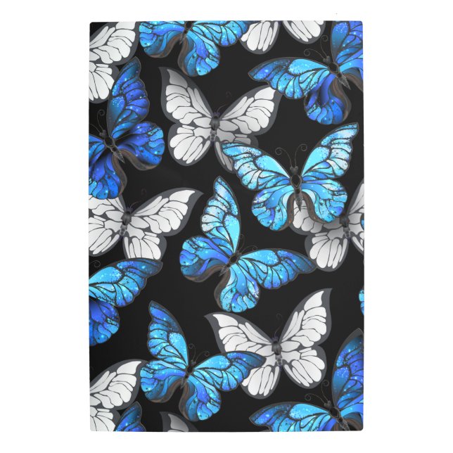 Impresión En Metal Patrón oscuro sin foco con mariposas azules morfo (Anverso)