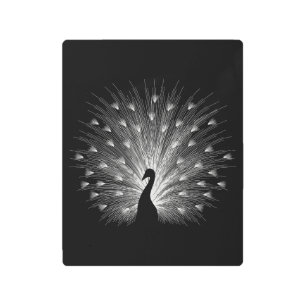 Impresión En Metal Pavo blanco