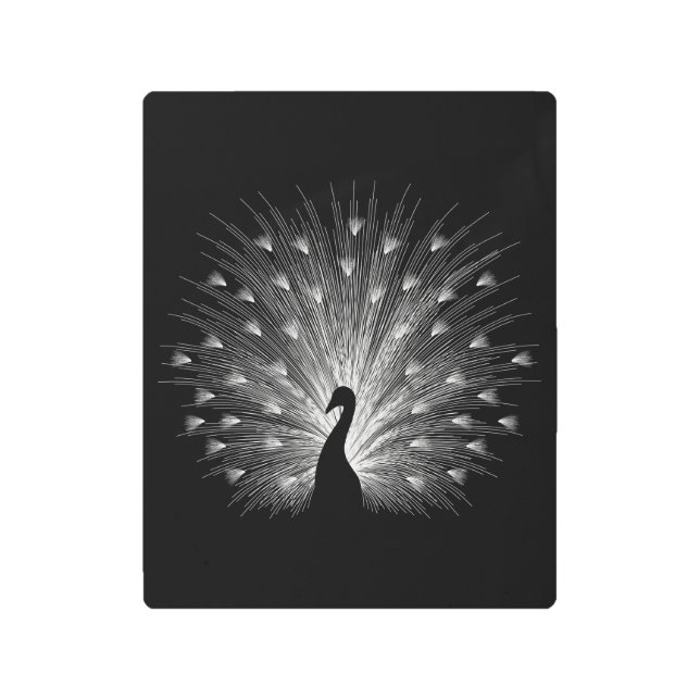 Impresión En Metal Pavo blanco (Anverso)