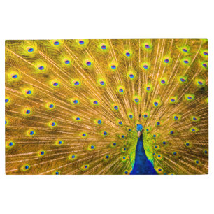 Impresión En Metal Peacock, cataratas plateadas, Kauai, Hawaii