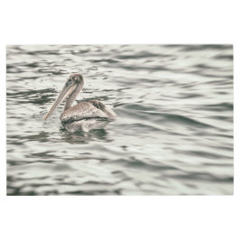 Impresión En Metal Pelican en el agua