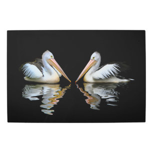 Impresión En Metal Pelícanos de Australia
