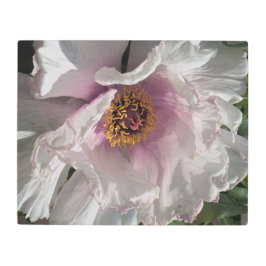 Impresión En Metal Peony de árbol de 20"x16"