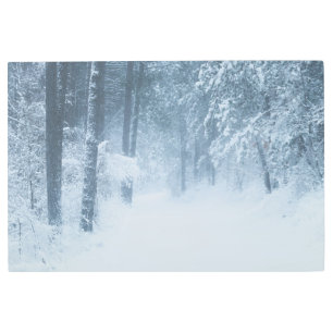 Impresión En Metal Perdido en un bosque mágico