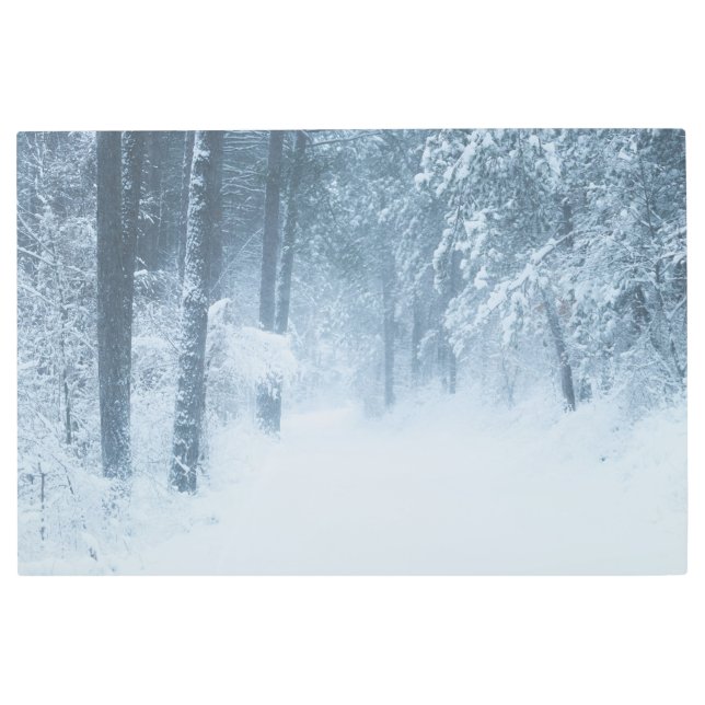 Impresión En Metal Perdido en un bosque mágico (Anverso)