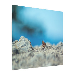 Impresión En Metal Perspectiva