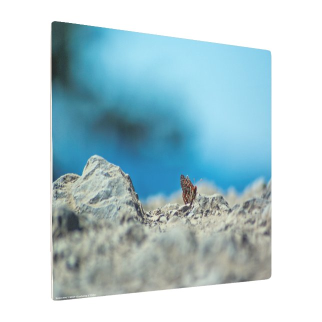 Impresión En Metal Perspectiva (Angulado)