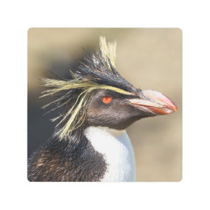 Impresión En Metal Pingüino erguido