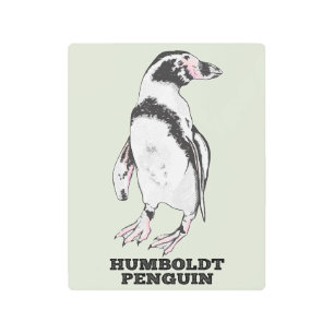Impresión En Metal Pingüino Humboldt