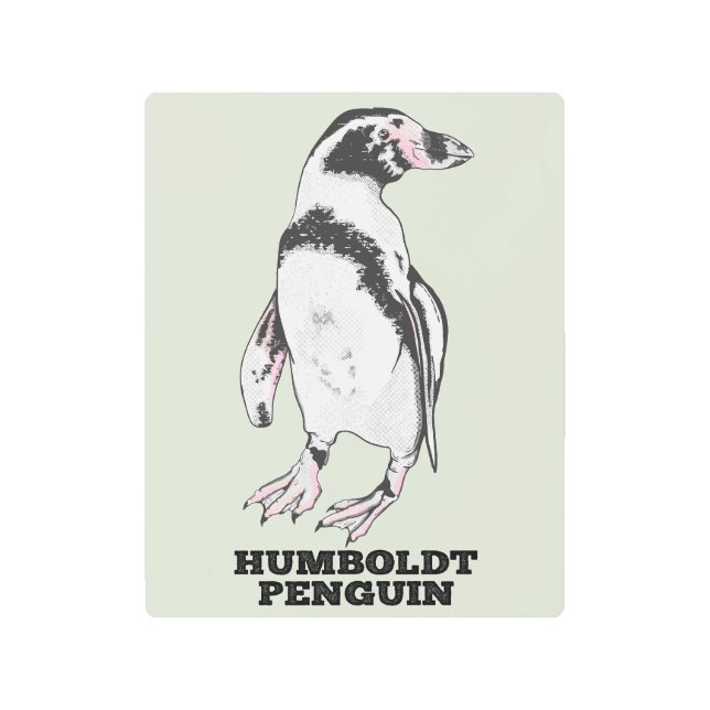 Impresión En Metal Pingüino Humboldt (Anverso)