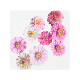 Impresión En Metal Pink Zinnia