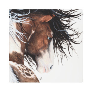 Impresión En Metal Pintado appy Pintaloosa Horse Bihrle