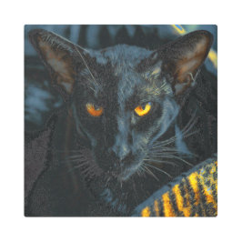 Impresión En Metal Pintura artificial 100