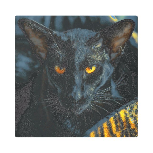 Impresión En Metal Pintura artificial 100 (Anverso)