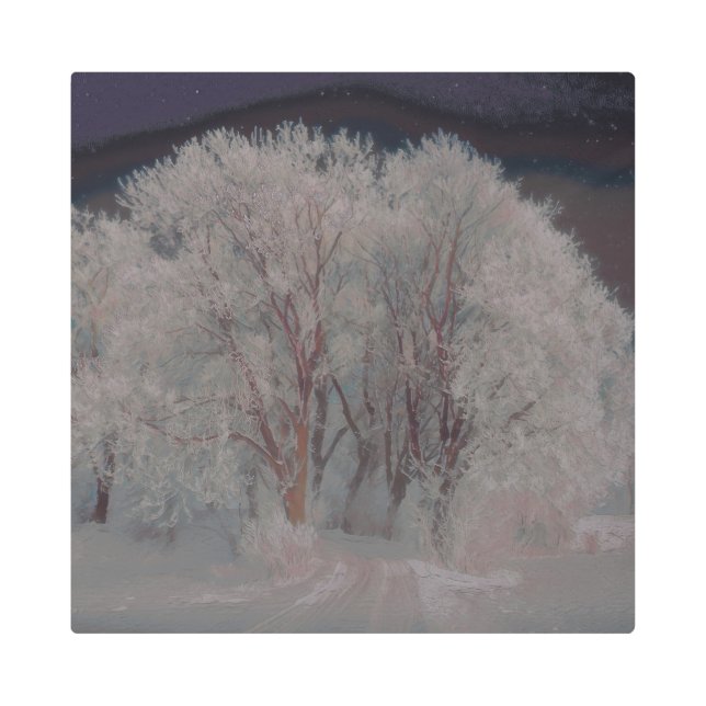 Impresión En Metal Pintura artificial 103 (Anverso)