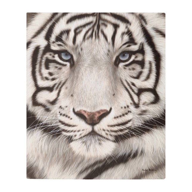Impresión En Metal Pintura blanca del tigre (Anverso)