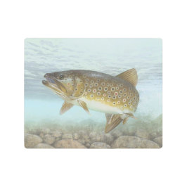 Impresión En Metal Pintura de trucha rota