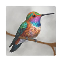Pintura vibrante del colibrí de Allen