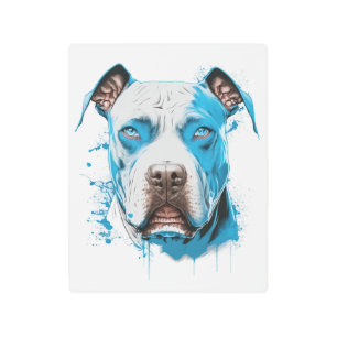 Impresión En Metal Pitbull blanco con ojos azules
