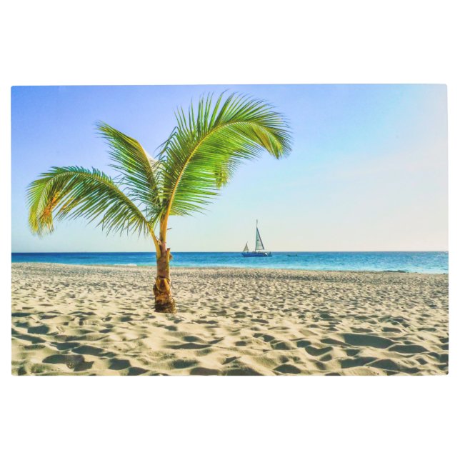 Impresión En Metal Playas tropicales | Barco de vela, palmera, Aruba (Anverso)